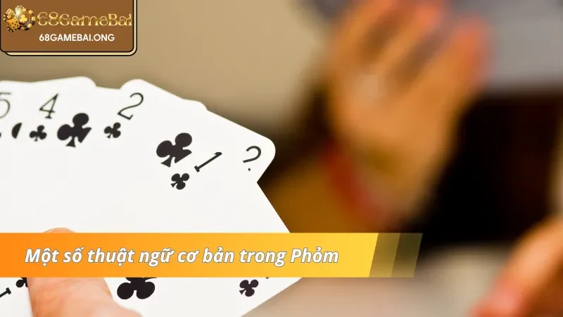 Điểm qua một số “ngôn ngữ” riêng biệt trong Phỏm